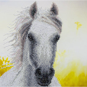 Diamond Dotz Painting White Horse Kit 50461