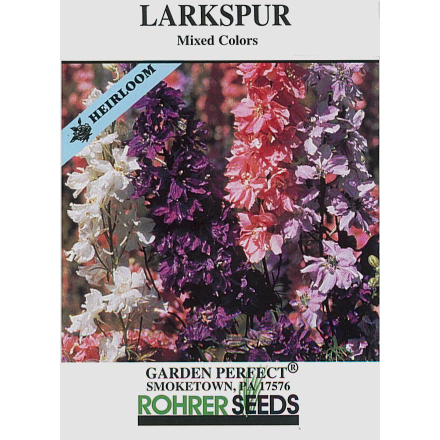 Larkspur Heirloom seeds