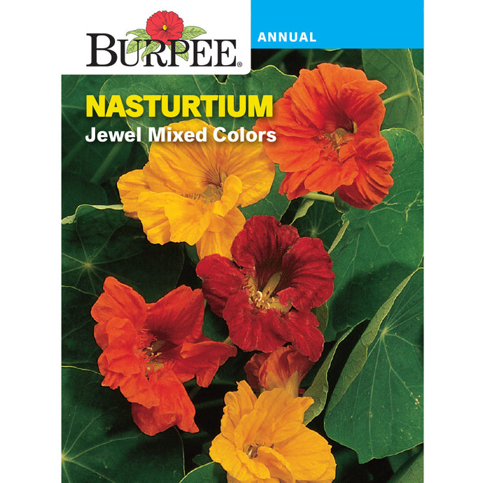 Nasturtium Jewel Mixed colors