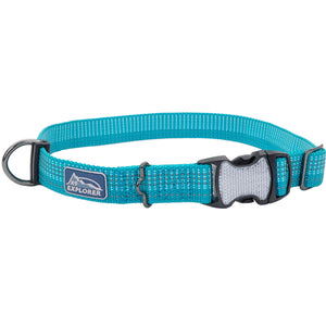 Ocean blue dog collar