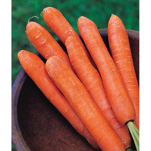 Carrots 