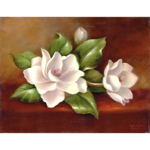 Magnolia Paint by Number Set 