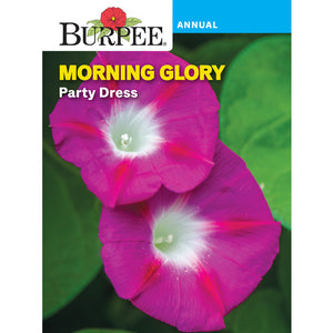 Party Dress Morning Glory flower seed pack