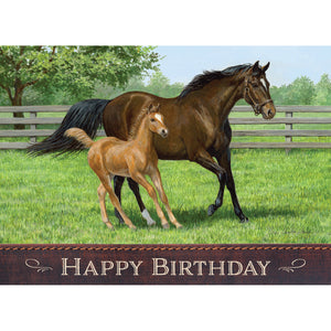 Birthday cards with horses