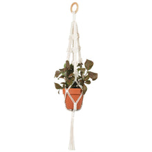 Plant hanger with potted plant