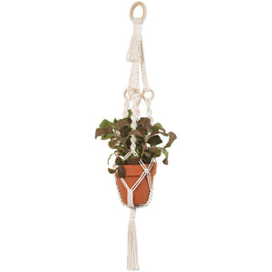 Plant hanger with potted plant