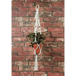Plant hanger in front of brick wall