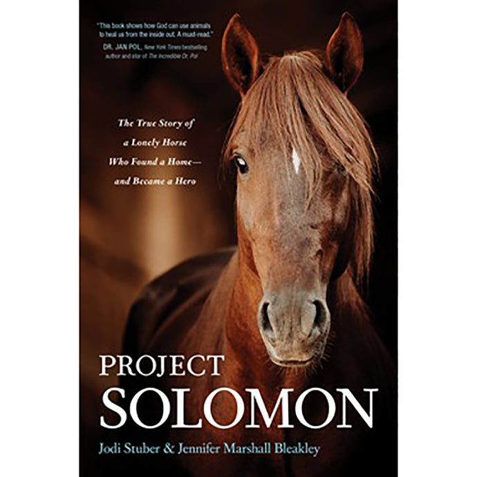 Project Solomon