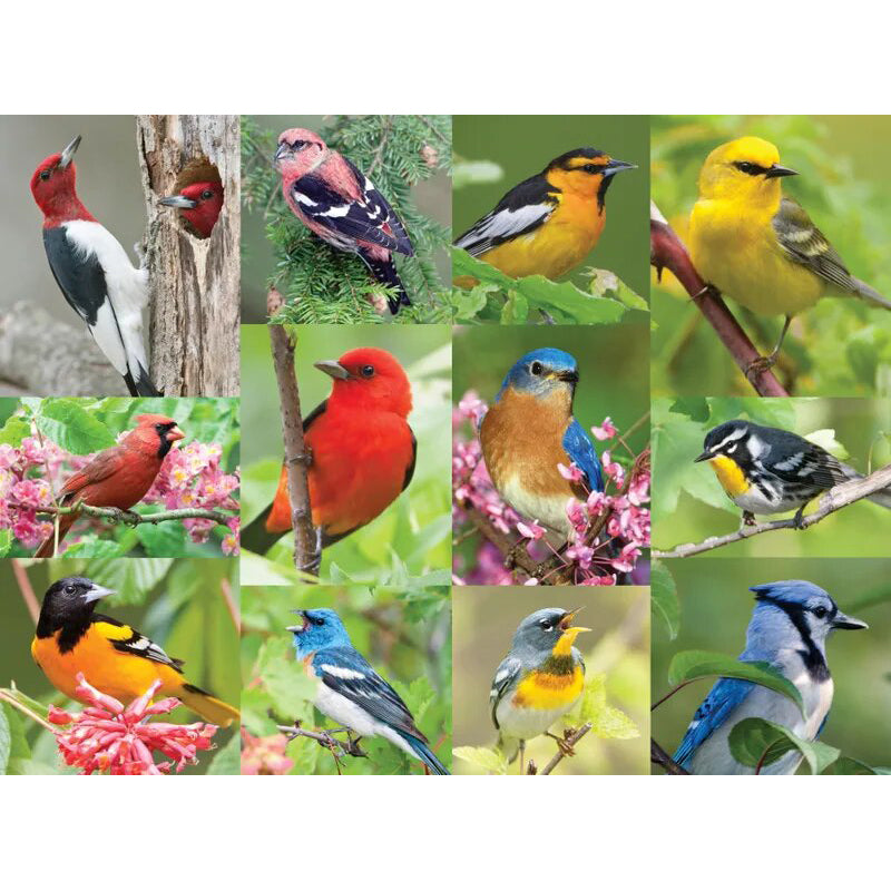 Puzzle with lots of bird images