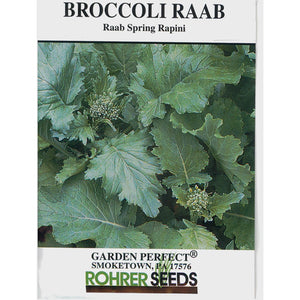 Broccoli Raab seed pack