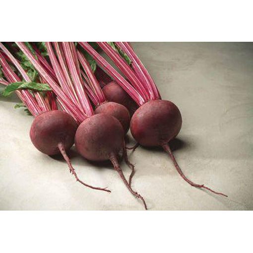 Red Ace Hybrid Beets