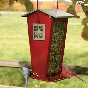 Snack Shack bird feeder