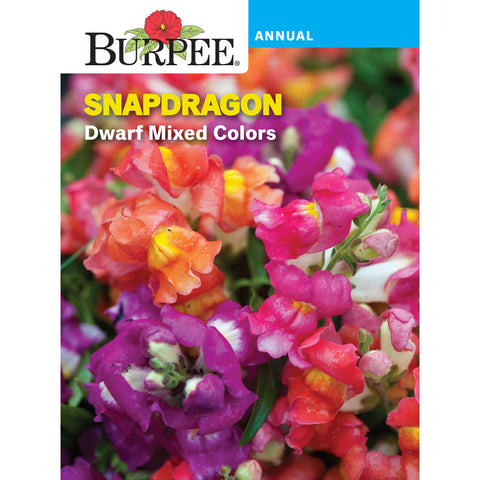 Snapdragon mixed colors