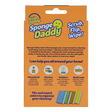 Sponges in a pack
