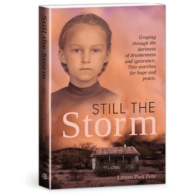 Still the Storm book