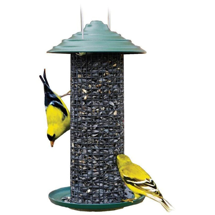 Sunflower seed bird feeder