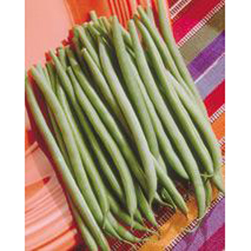 Tema Green Beans