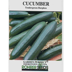Tengergreen Burpless cucumber seed pack