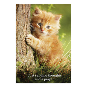 Kitten card