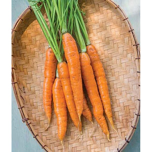 Carrots