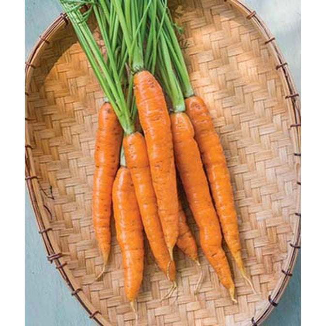 Carrots