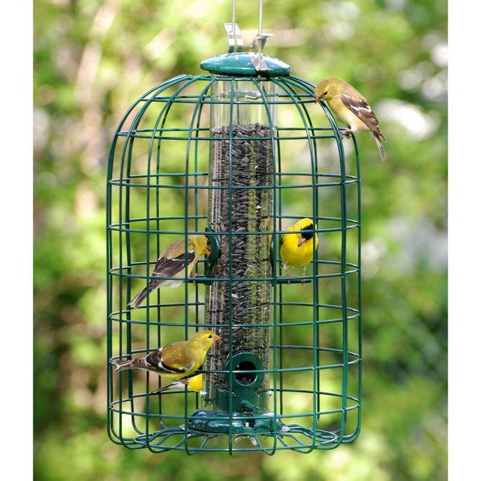 Tube bird feeder in cage