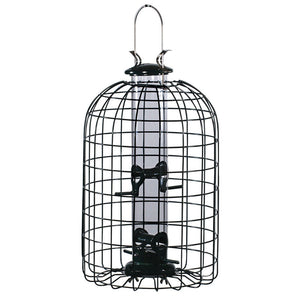 Bird feeder in cage