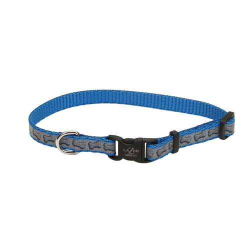 Blue dog collar