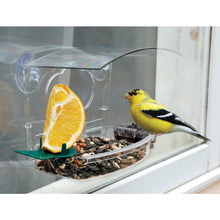 Window bird feeder in use