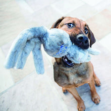 Dog holding wubba toy