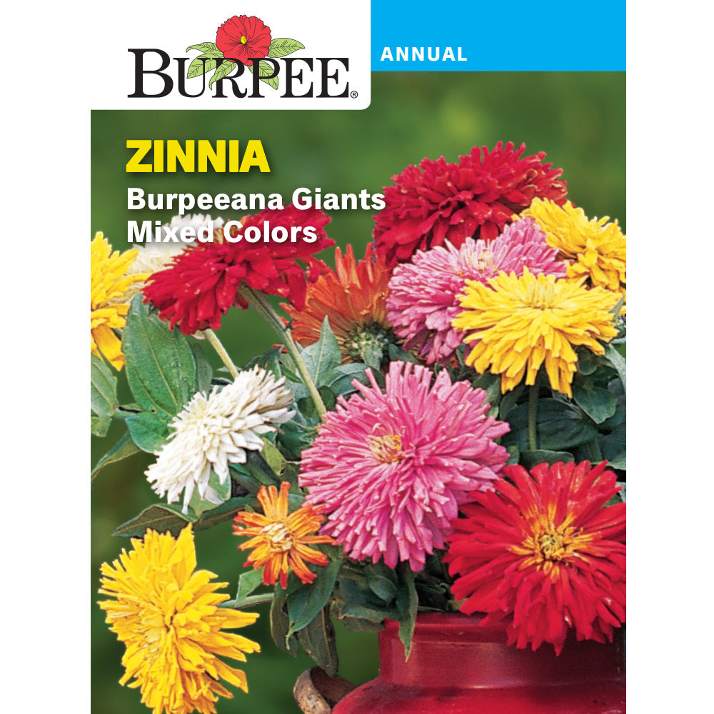 Zinnia flower seed pack