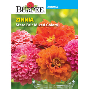 Mixed Color Zinnia flower seed pack