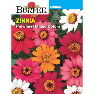 Zinnia Pinwheel Mixed Colors seed pack