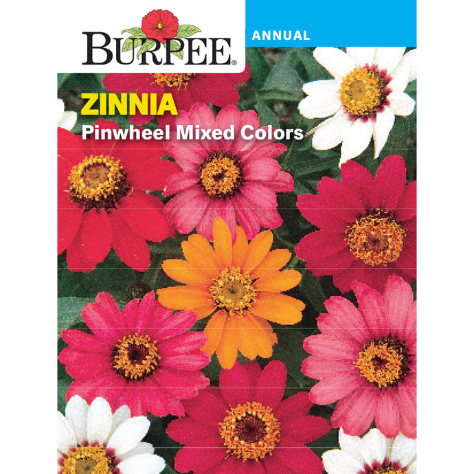 Zinnia Pinwheel Mixed Colors seed pack