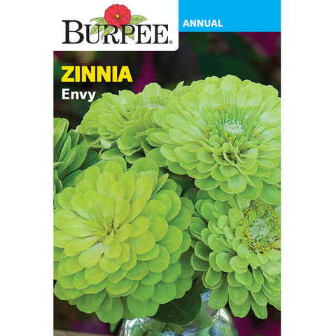 Envy Zinnia flower seed pack